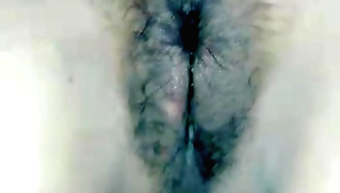 Amateur brunette girl with hairy pussy and tits is fucked