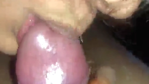 Indian amateur video with a cute girl in a tight outfit